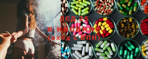 стаф Баксан