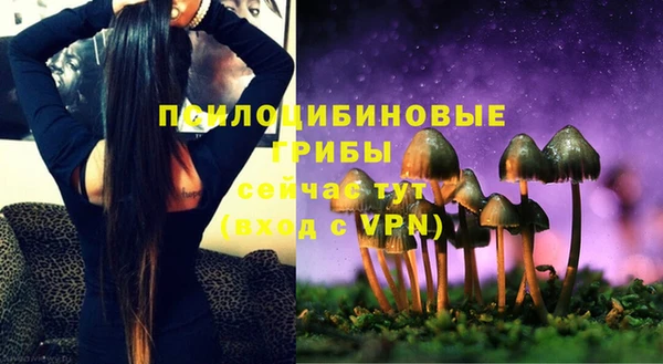 стаф Баксан