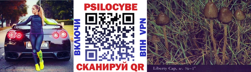 Псилоцибиновые грибы GOLDEN TEACHER  Невель 